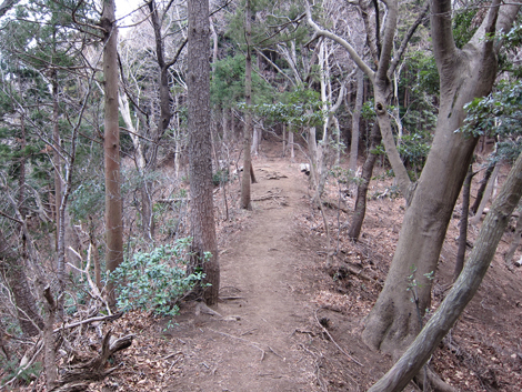 20190214hike (339)
